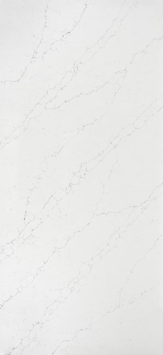 A delicate combination of soft grey veining against a cloudy white background.