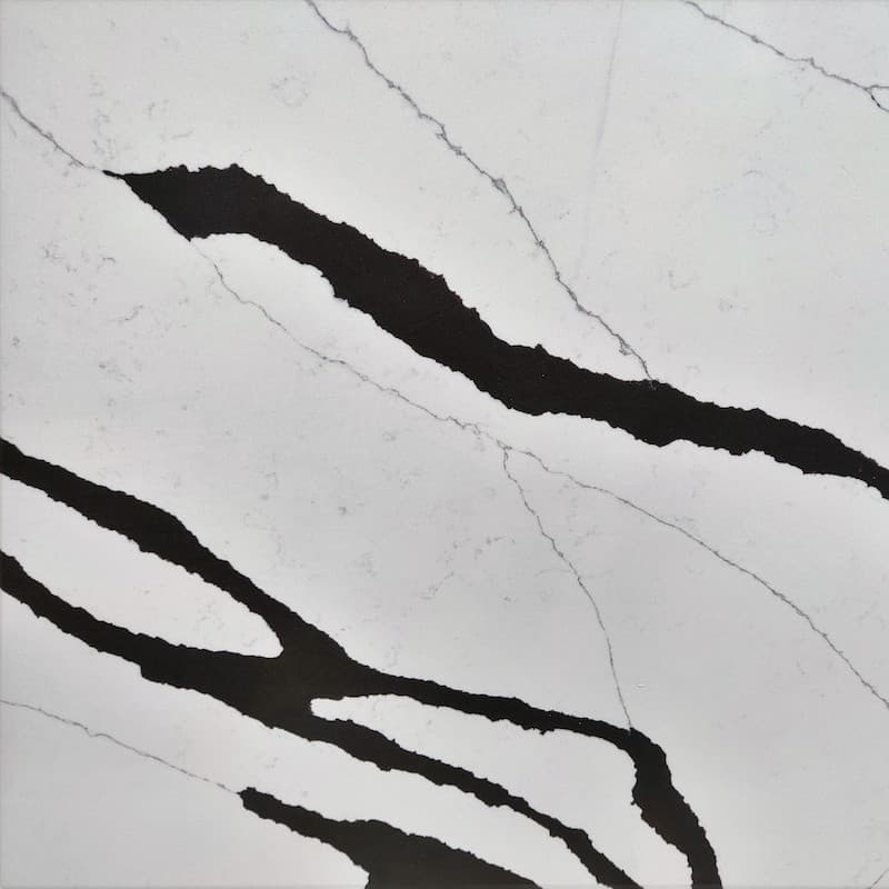 Bold and dramatic veins of deep black on a bright white background