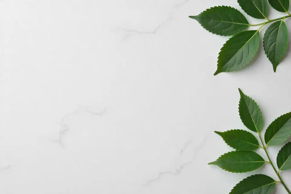 Assorted sustainable countertop samples: granite, quartz, recycled glass terrazzo, paper composite