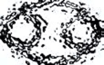 Granite Details's Logo